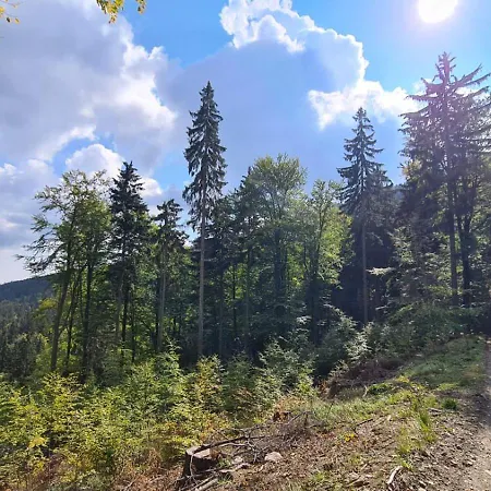 Na Wzgorzu 度假居 Rosciszow