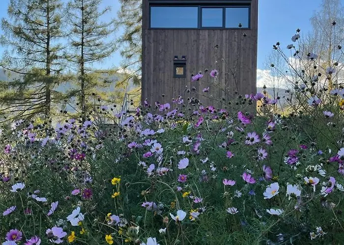 Na Wzgorzu Rosciszow