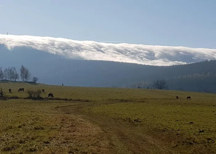 Na Wzgorzu Casa vacanze *